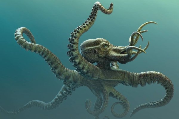 Kraken зеркало даркнет