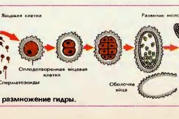 Ссылки мега кракен