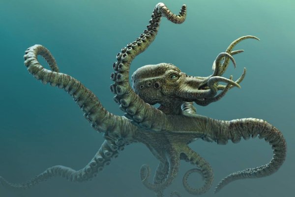 Kraken tor ссылка онлайн