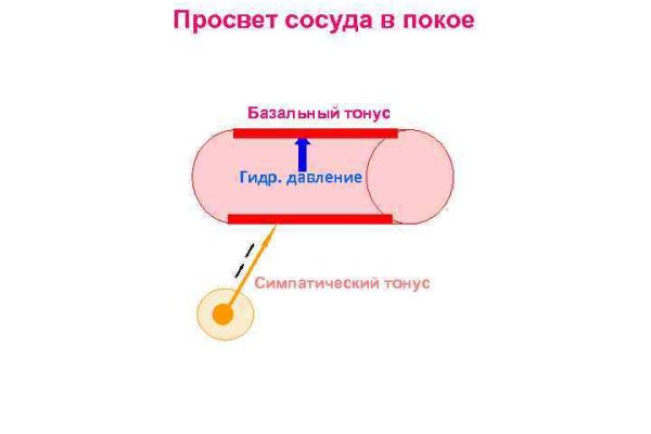 Кракен рабочий сайт